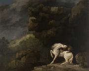 George Stubbs A Lion Attacking a Horse Germany oil painting artist
